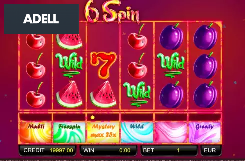 6 Spin